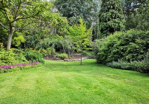 Optimiser l'expérience du jardin à Espaly-Saint-Marcel